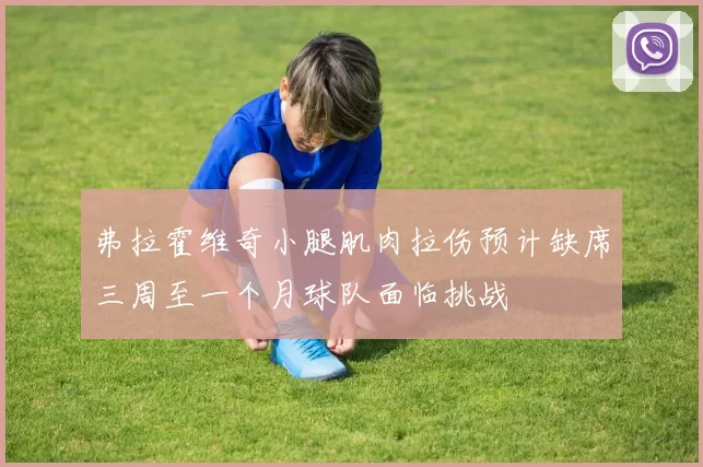 弗拉霍维奇小腿肌肉拉伤预计缺席三周至一个月球队面临挑战